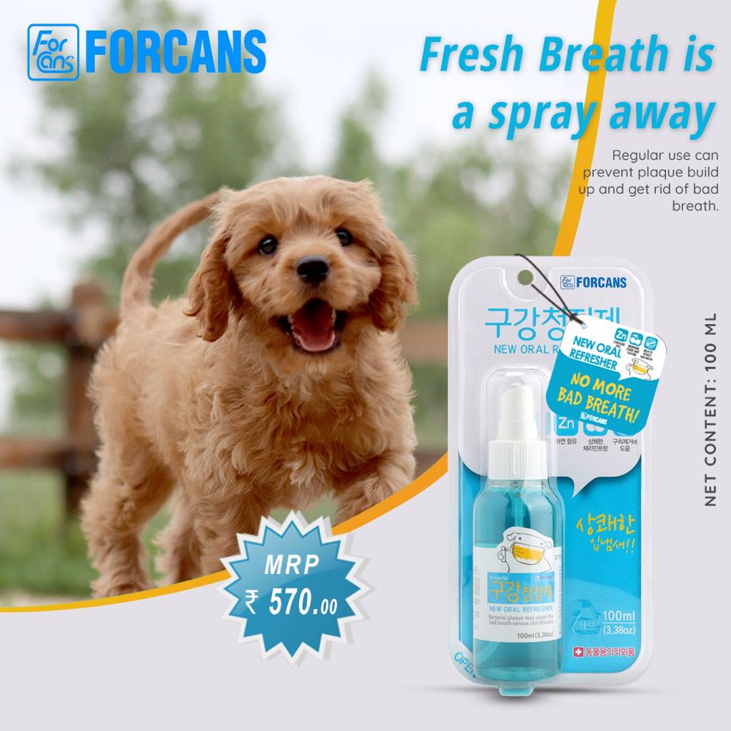 Dog bad breath clearance spray