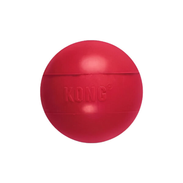 kong-ball